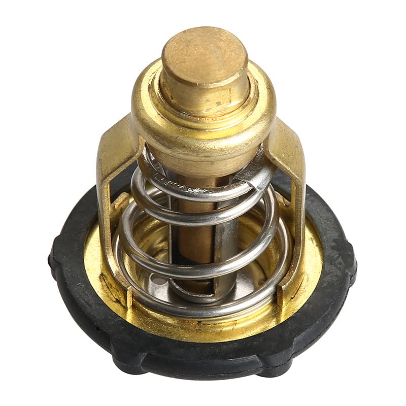 Termostato 8M6010301 per motore fuoribordo Mercury 115HP 4 tempi
